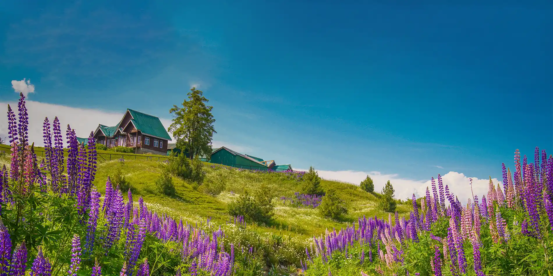 Gulmarg