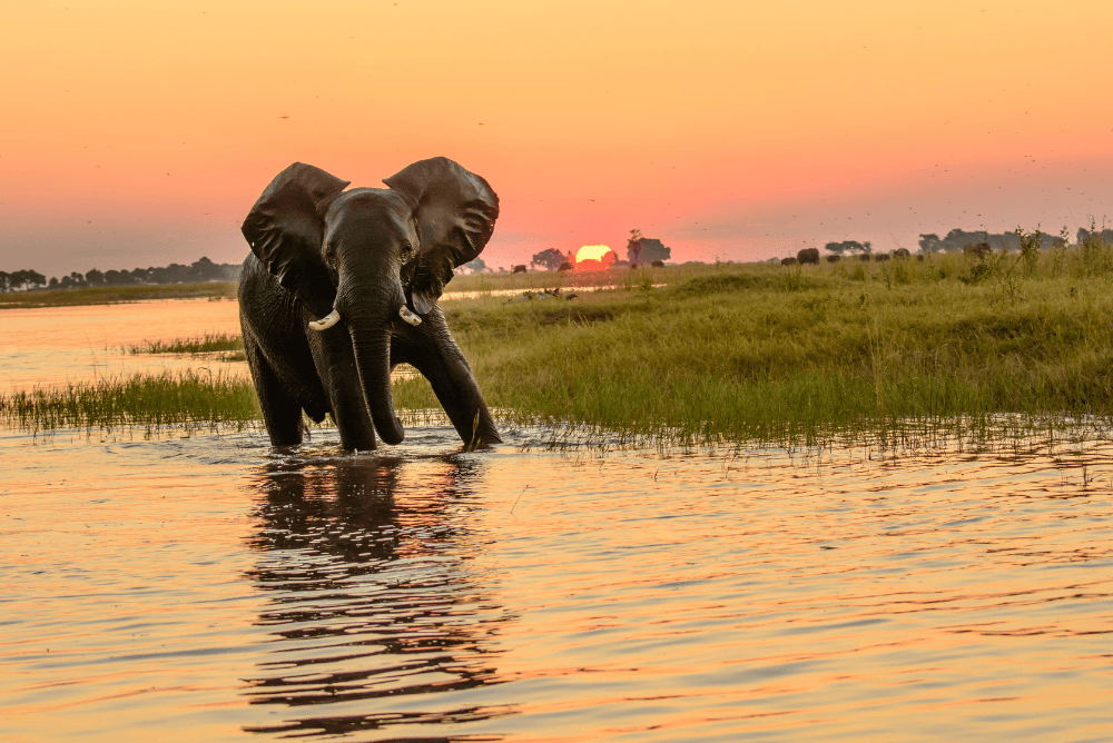 singapore from india