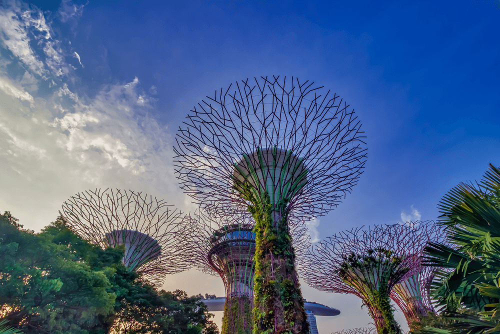 Singapore Serenade: Honeymoon Magic with up to 20% Exclusive Savings