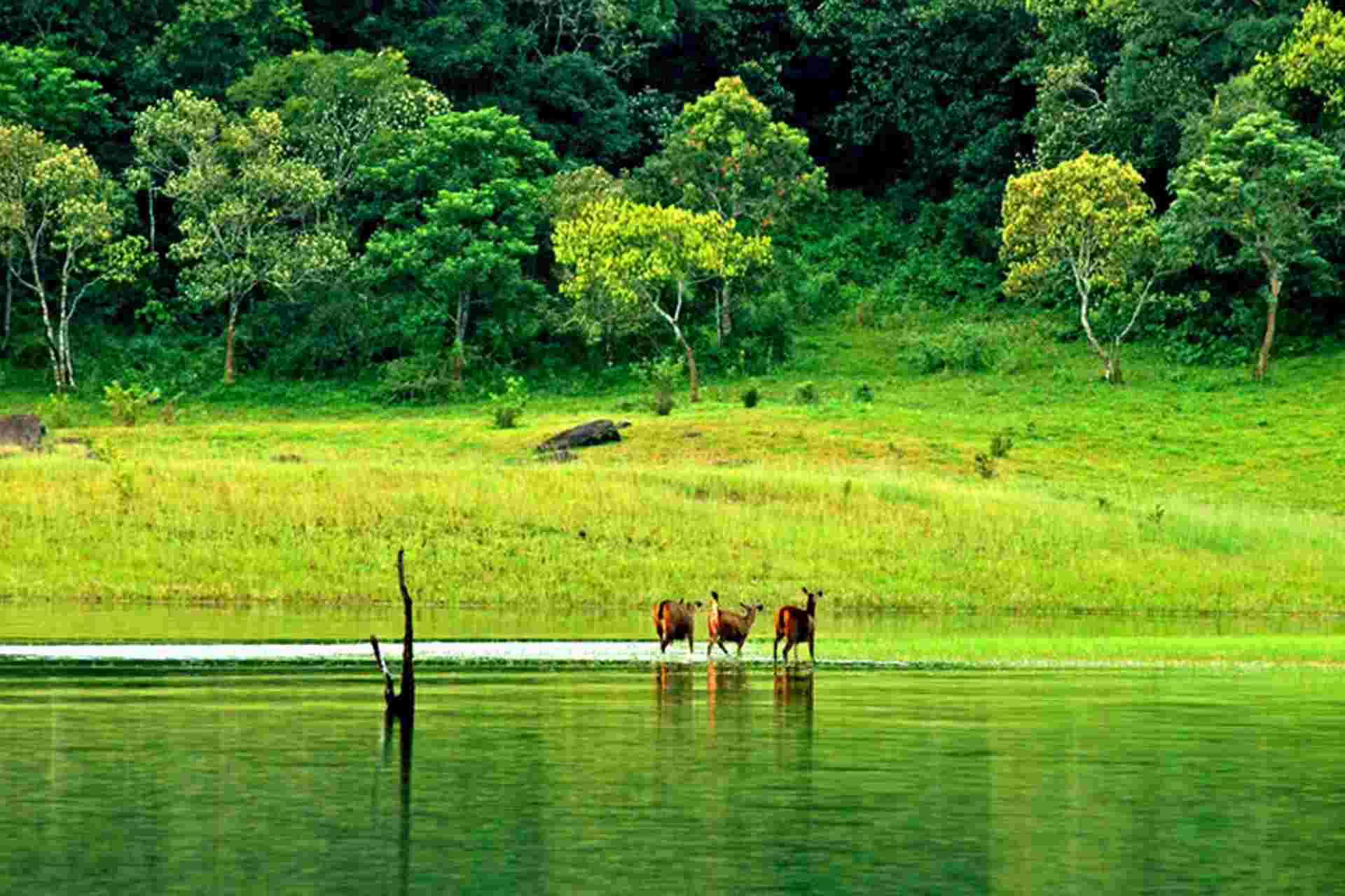 Thekkady