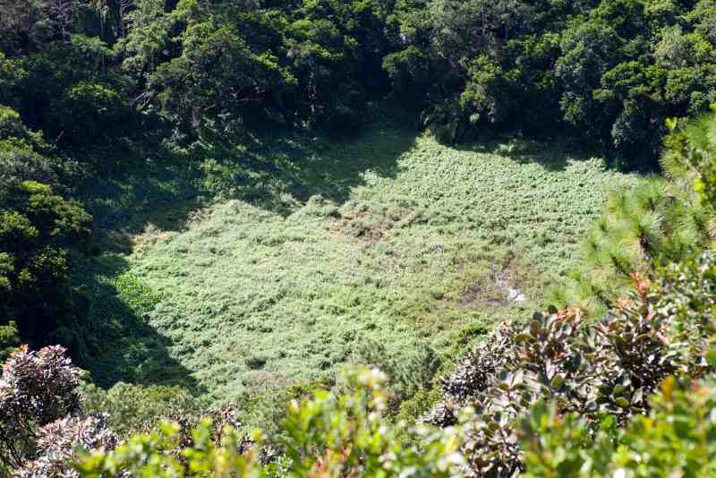 crater of Trou aux Cerfs