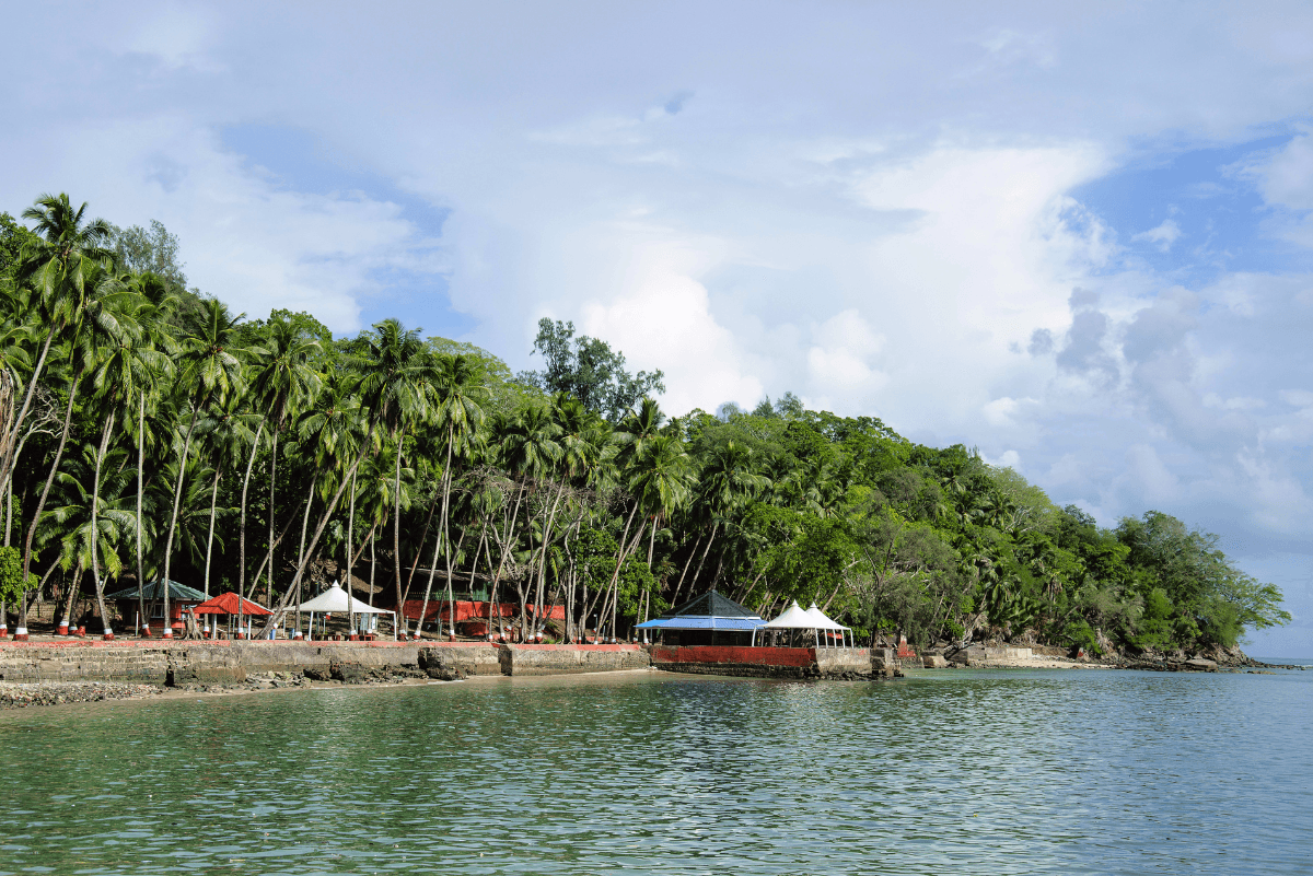 Honeymoon Magic in Andaman: With Neil Island Stay (Exclusive Discounts Available)