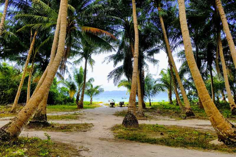 Havelock Island