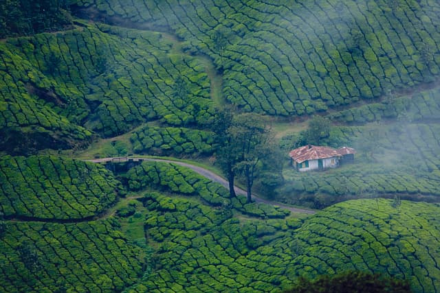 Munnar 
