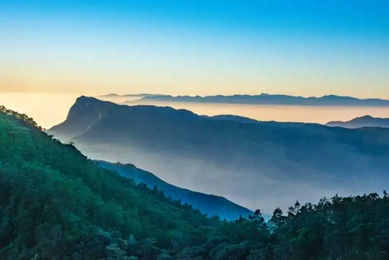 Kerala in Four Days: A Family Dream Vacation