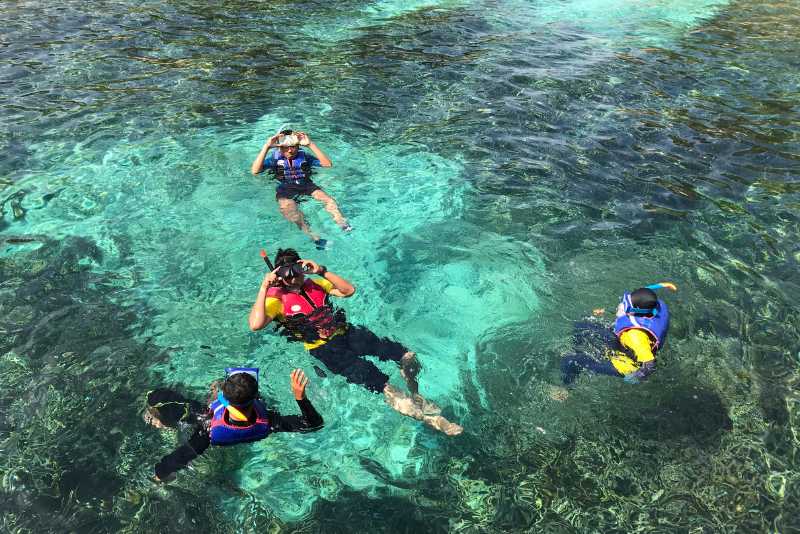 Snorkeling in Turtle Island