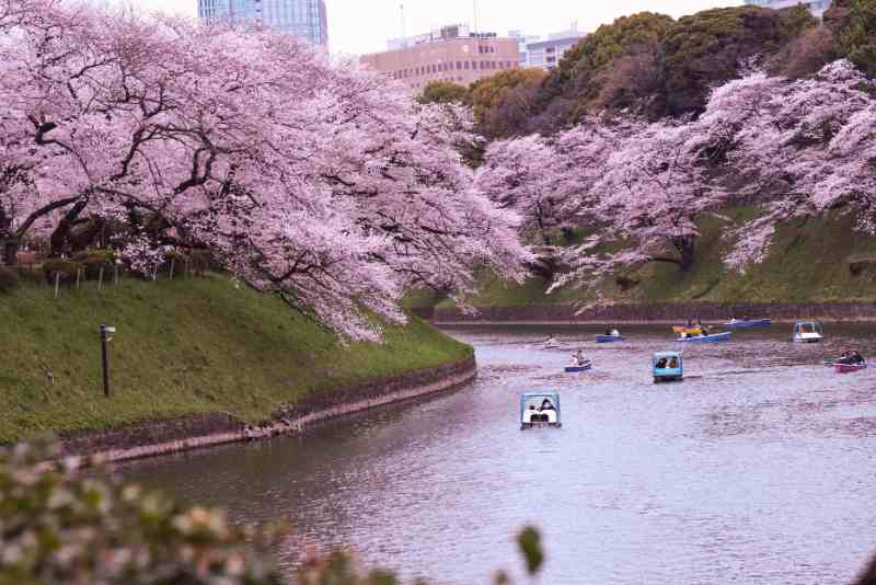 Romantic Japan Trip Package From India for 6 Days