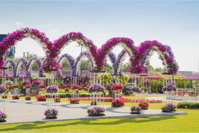 Miracle Garden