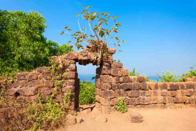 Chapora Fort