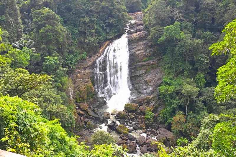 Kerala Treasures with Friends: 6-Night Adventure with Best Deals