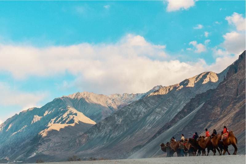 leh ladakh holiday package
